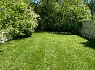 Randy C.'s Lawn Service service result