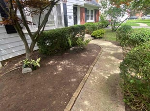 Cleanups by Donathan Johnson for Eve B. in Columbus, OH