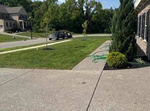Alberto P.'s Lawn Service service result