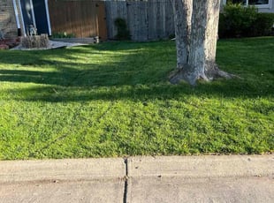 Danny A.'s Lawn Service service result