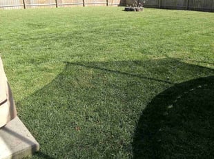 Jessica W.'s Lawn Service service result
