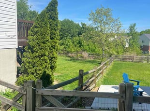 Ray S.'s Yard Cutting service result