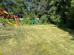 Cleanups by Spencer Mercer for Melissa M. in Eagan, MN