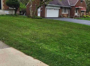 Shaquanda W.'s Lawn Maintenance service result
