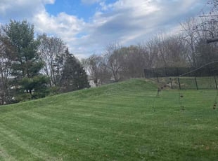 Richard Y.'s Lawn Maintenance service result
