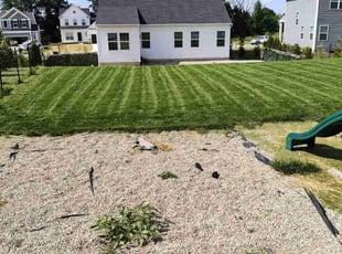Donna D.'s Lawn Service service result