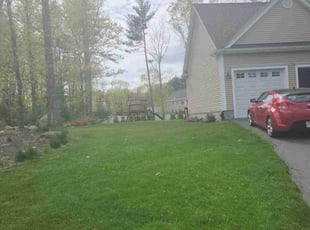 Cheryl T.'s Yard Cutting service result