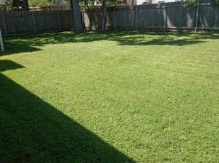 Linda S.'s Lawn Service service result