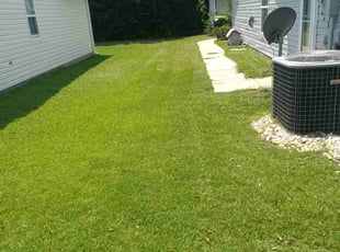 Marvin M.'s Grass Cutting service result