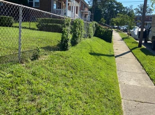 Bush Trimming by Norman Blanchard for Tevin W. in Temple Hills, MD