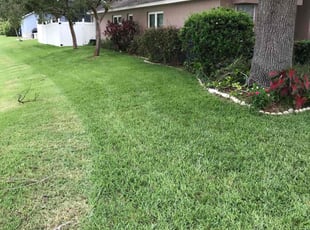 Paul P.'s Lawn Service service result