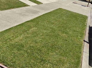 Eleanor C.'s Yard Cutting service result