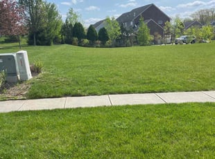 Anton R.'s Lawn Maintenance service result