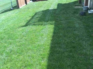 Priscilla S.'s Lawn Care service result