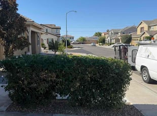 Cindy V.'s Bush Trimming service result