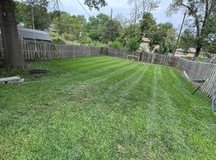 Chloe C.'s Lawn Service service result