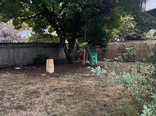 Leaf Removal by DG Gresham for Mad G. in Portland, OR