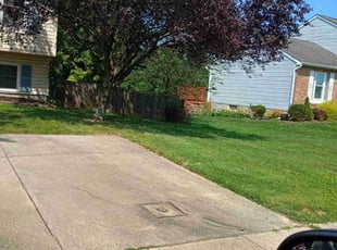 KYLE M.'s Lawn Mowing Service service result