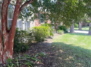 Bush Trimming by Carl George for Jamal L. in Baton Rouge, LA