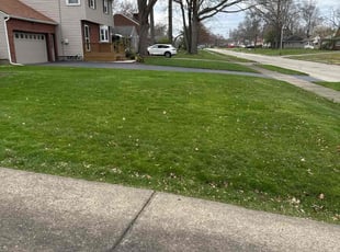 Yvonne M.'s Lawn Mowing service result