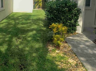 Lynn D.'s Lawn Care service result