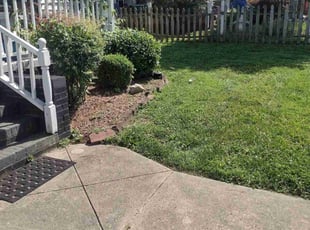 Weeding by Joseph White for Beth R. in Lenoir City, TN