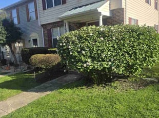 Bush Trimming by Zachary Krenik for Ralph T. in Upper Marlboro, MD