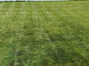 Jessica S.'s Lawn Care service result