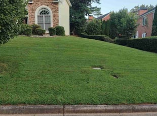 Justine P.'s Grass Cutting service result