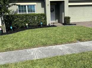 Arlene A.'s Lawn Mowing service result