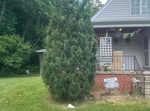 Bush Trimming by Rachel Lewis for Callandra E. in Nottingham, MD