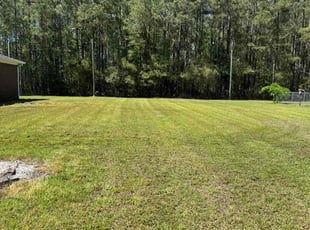 Brian M.'s Lawn Mowing service result