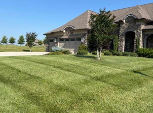 Lauri F.'s Lawn Mowing Service service result