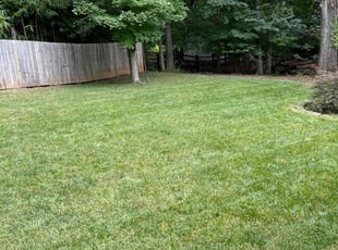 Randy W.'s Lawn Maintenance service result