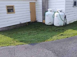 Ted A.'s Lawn Maintenance service result
