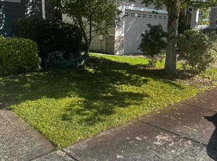 Moe V.'s Grass Cutting service result
