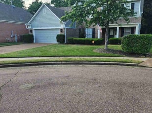 Rico F.'s Lawn Mowing service result