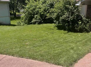 Anita B.'s Lawn Service service result