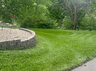 Sharon R.'s Lawn Service service result
