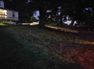 Edye H.'s Lawn Service service result