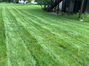 Will L.'s Lawn Care service result