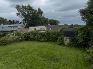 Michael B.'s Lawn Mowing Service service result