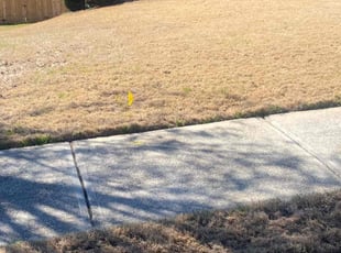 Bush Trimming by Andre Jefferson for Sandra Y. in Conyers, GA