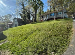 Renee Y.'s Yard Cutting service result