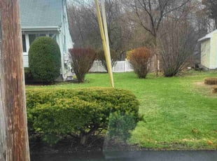 John G.'s Lawn Service service result