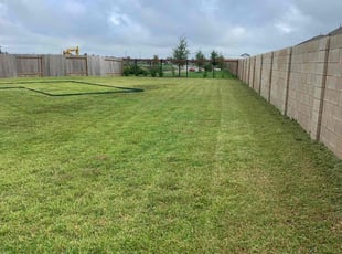 Pat W.'s Lawn Care service result