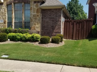 Bush Trimming by Courtney Holmes for Max M. in Plano, TX