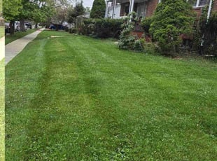 Linda T.'s Lawn Mowing Service service result