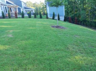Jason F.'s Lawn Care service result