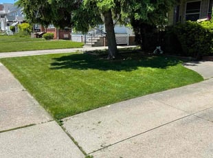Anita M.'s Lawn Service service result
